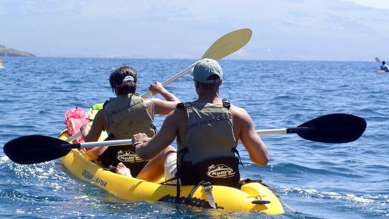 Süd-Maui: Wasserfall-Tour mit Kajak, Schnorchel und Wanderung