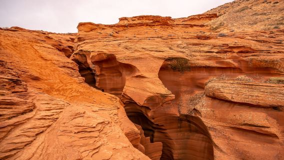 Página: Entrada al Cañón del Antílope Inferior y visita guiada Navajo