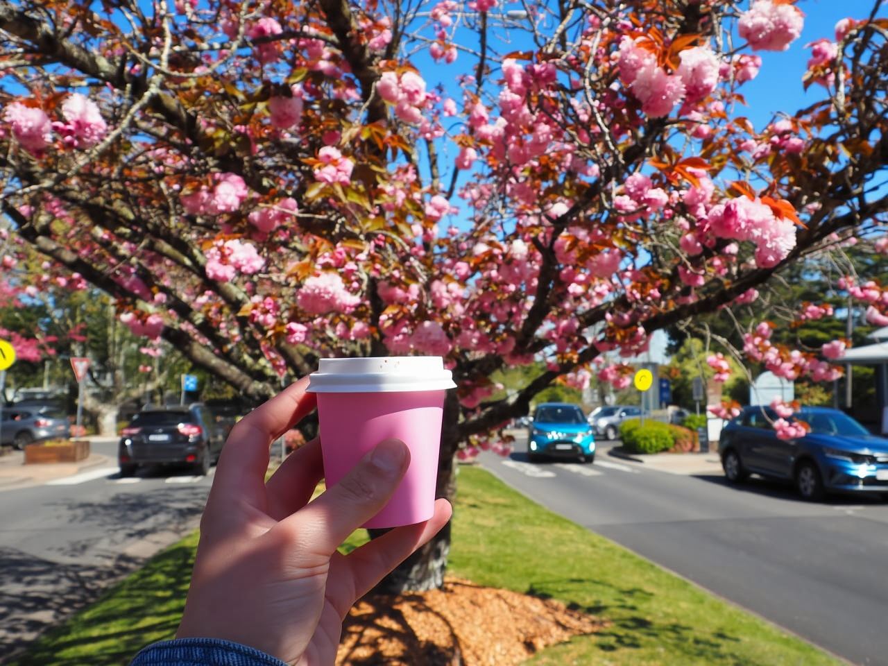 Roos, Blues & Views - Tur Sehari ke Blue Mountains dengan Makan Siang