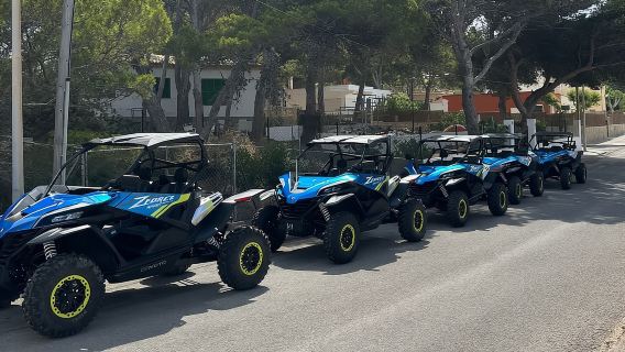 Paguera: tour in buggy di 2 ore