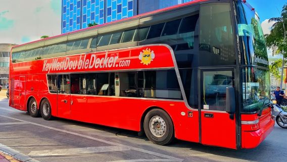 Da Miami: spettacolo naturalistico delle Everglades, trasferimento in idroscivolante e autobus