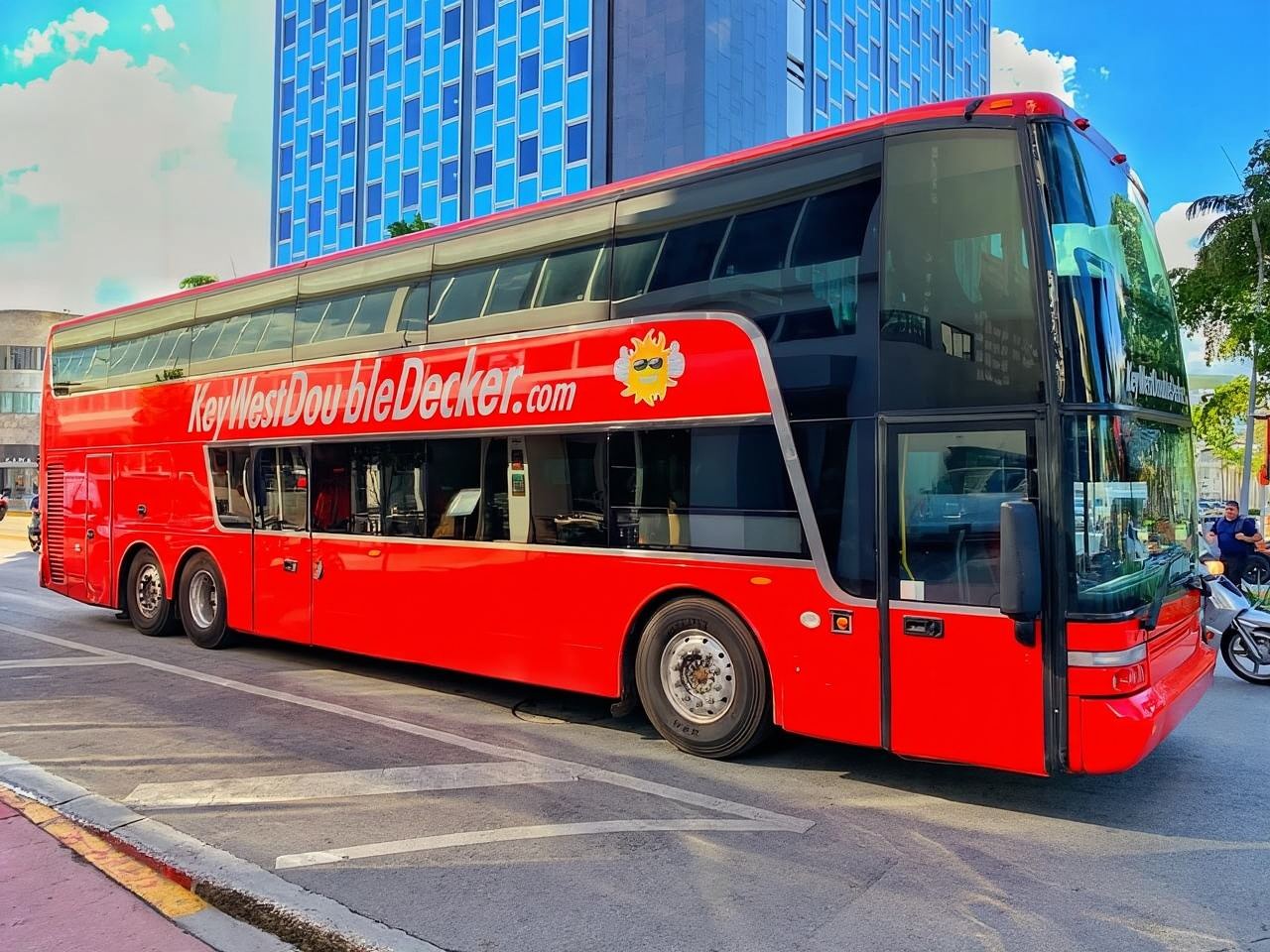 From Miami: Everglades Wildlife Show, Airboat & Bus Transfer