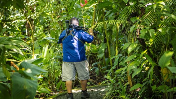 La Fortuna: Tur Kungkang di Taman Gunung Berapi Arenal & Camilan Lokal