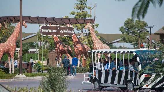 Tiket Masuk Dubai Safari Park