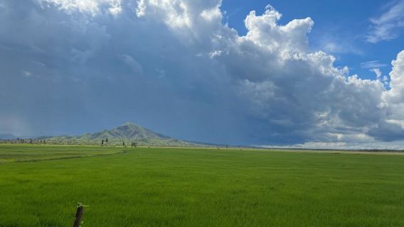 Saona VIP and Tropical Quad - 2-Day Tour