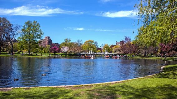 美國波士頓|波士頓公共花園+自由之路+麻省理工學院+哈佛大學