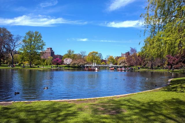 美國波士頓|波士頓公共花園+自由之路+麻省理工學院+哈佛大學