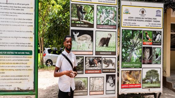 Zanzibar: Jozani Forest, Red Colobus and the Rock Restaurant Tour