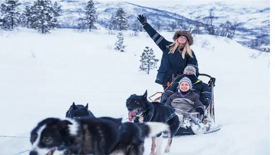 Passeio de 1 dia de trenó puxado por cães em Tromso [Trenó autoguiado + traslado de ida e volta em Tromso]