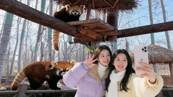 北京野生動物園包車遊