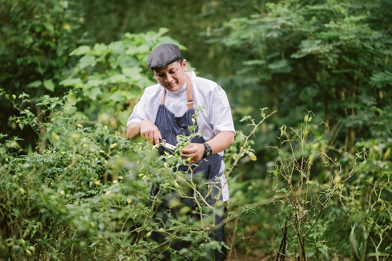 Alila Ubud Culinary Journey