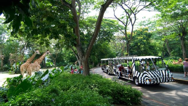 Zoological Gardens Day Safari – Small Group Tour
