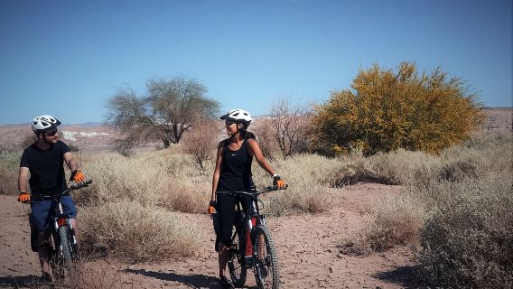 From San Pedro de Atacama: Moon Valley E-Bike Tour