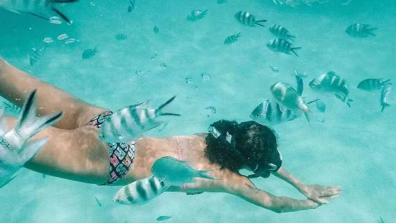 Excursión de un día en lancha con servicio de coche privado con conductor en Mauricio