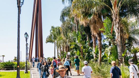 Nice: Old Town & Castle Hill Informative Guided Walking Tour