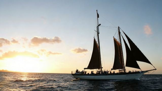 南非開普敦維多利亞精神號：海灣巡遊或日落巡遊