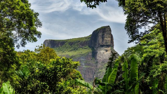 Tijuca National Forest + Christ the Redeemer + Rio de Janeiro Cathedral + Sugarloaf Mountain + Selarón Steps