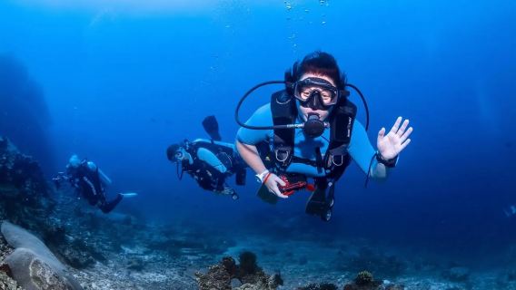 No Limit Divers Pattaya [ Dive Adventure + Deep/Snorkeling + Lunch + Hotel Transfers]