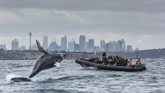 Sydney