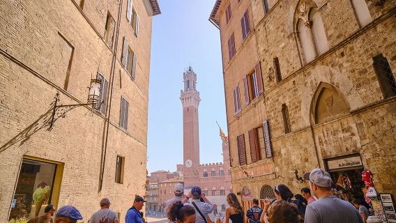 Excursión de un día a Pisa, Siena y San Gimignano con almuerzo y maridaje de vinos