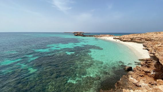 Snorkeling at Dimaniyat Islands and Dolphin Watching
