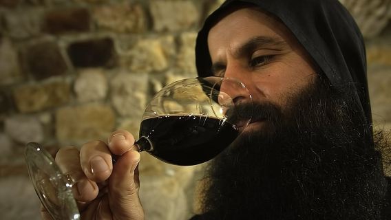 Tour de vinos y aceite de oliva de Creta