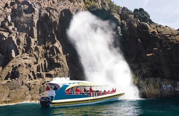布魯尼島3小時快艇觀光+冒險灣之旅（荷伯特出發）