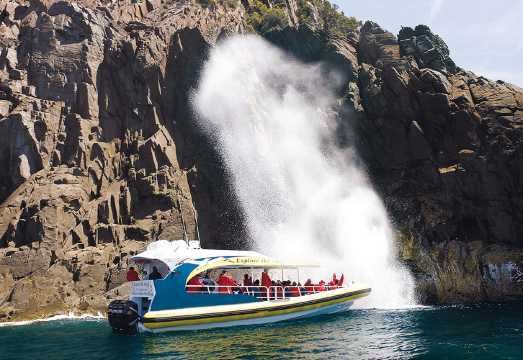 3-Hour Bruny Island Speedboating Sightseeing + Adventure Bay Tour (Departing from Hobart)
