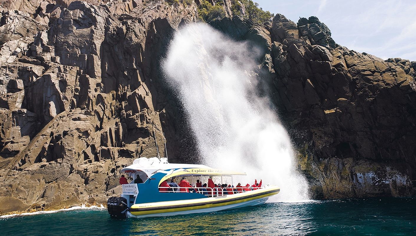 3-Hour Bruny Island Speedboating Sightseeing + Adventure Bay Tour (Departing from Hobart)