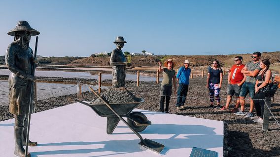 Private and Guided Tour to the Salinas de Janubio with Tasting