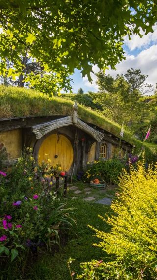 1-day sightseeing bus tour from Auckland: Hobbiton + glowworm caves