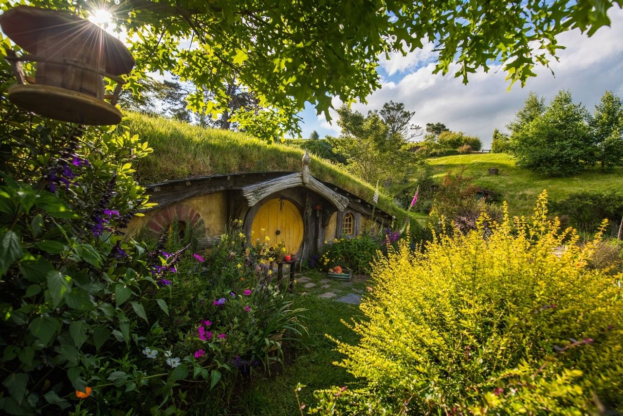 New Zealand Hobbiton + Glowworm Caves Day Tour: Auckland Departure Full View Sightseeing Bus Tour