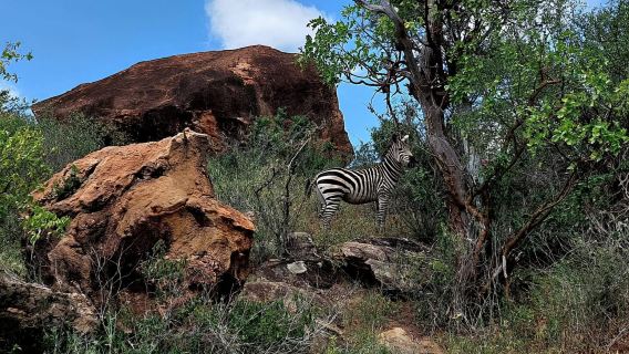 Parco Nazionale Hell's Gate in Kenya + noleggio con conducente esclusivo in città + servizio di prelievo a domicilio