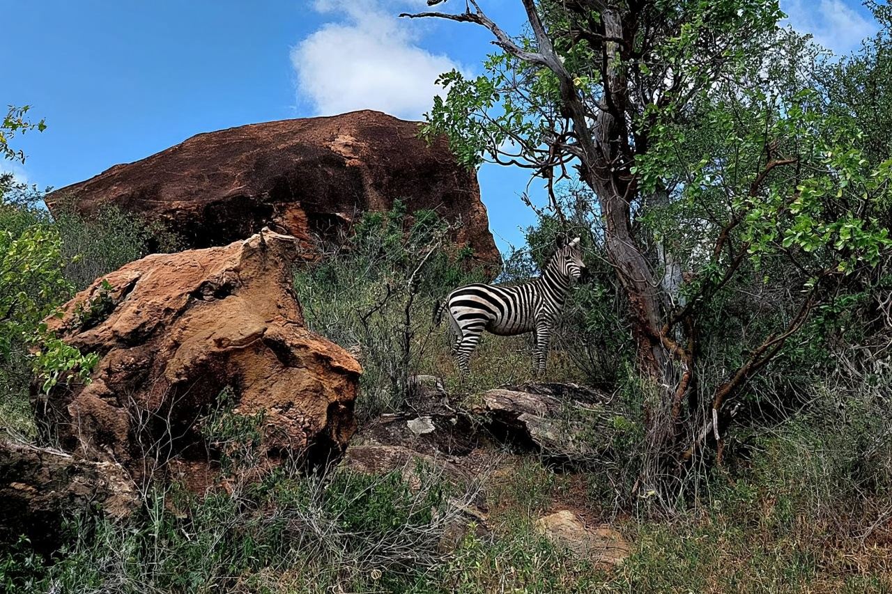 Parco Nazionale Hell's Gate in Kenya + noleggio con conducente esclusivo in città + servizio di prelievo a domicilio