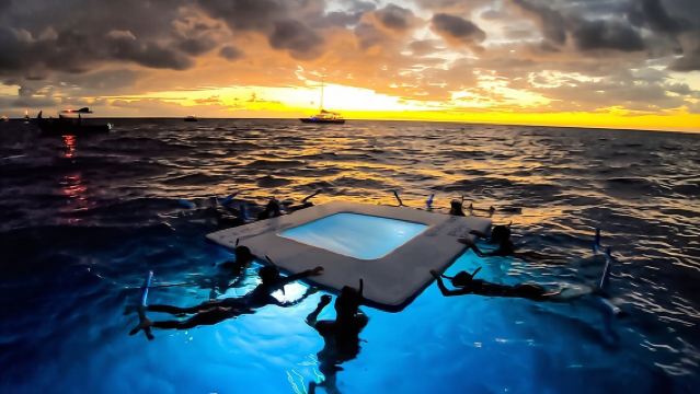 ทัวร์ดำน้ำตื้นชมปลากระเบนราหูยามค่ำคืนที่ไคลัว-โคนา เกาะบิ๊กไอส์แลนด์