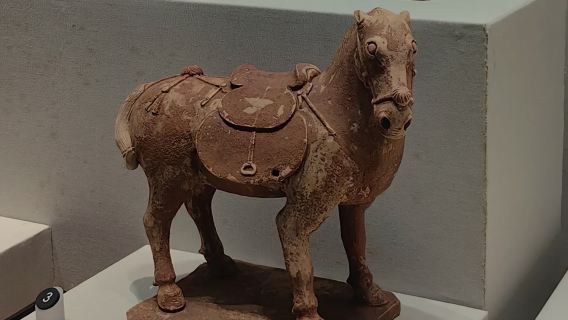 海南省博物院2H導覽講解【大笙說簽約講師+深度精解/多時段可選//精緻小團】