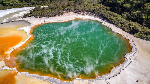 Hobbiton & Rotorua including Waiotapu Day Tour from Auckland