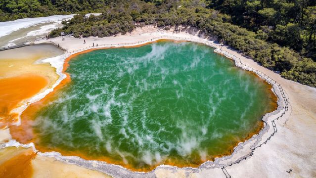 ホビット村＆ロトルア ワイオタプを含む - オークランド発 少人数グループツアー