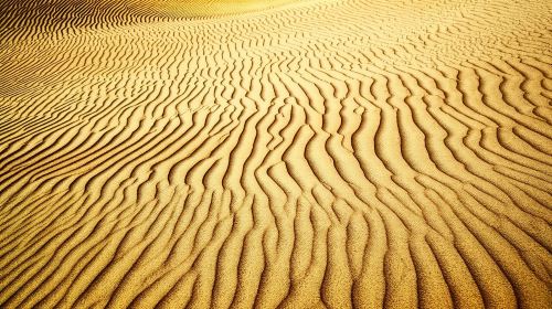 Arabian Night Safari with Camel Ride, Sandboard, BBQ & Live Shows Day Tours 3