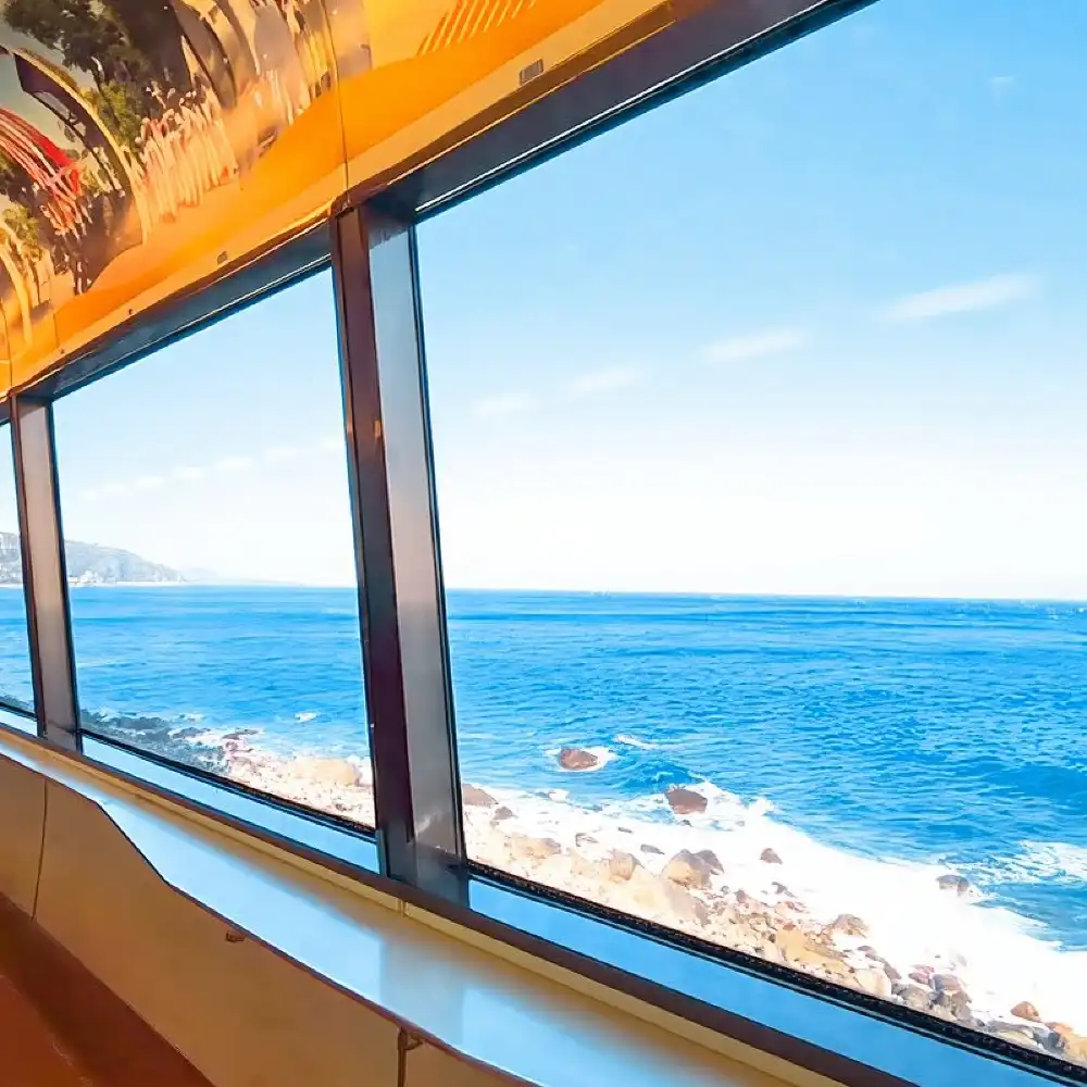Japan Tokyo Izu 1-day tour: Mt. Omuro + zoo + scenic train