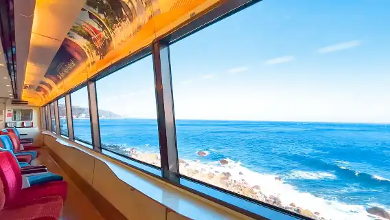 日本東京伊豆一日遊：大室山+動物園+觀海列車體驗+城崎海岸