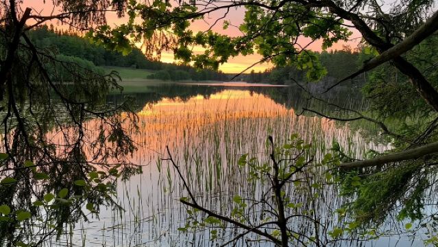Stockholm: Sunset Hike in Tyresta National Park with Meal