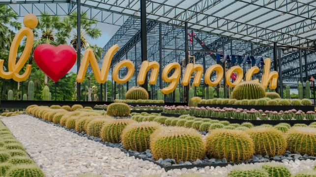 【專車暢遊】從曼谷出發：真理寺 + 七珍佛山 + 東芭樂園 + Tutu 沙灘一日遊