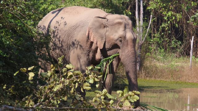 Besichtigung des Wildtierrettungszentrums