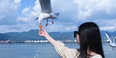 昆明市區包車一日遊:私家團景點任選+三環內接送+純玩無購物