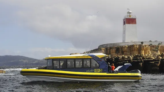 2.5-hour Iron Pot Cruises Lighthouse Tour in Tasmania