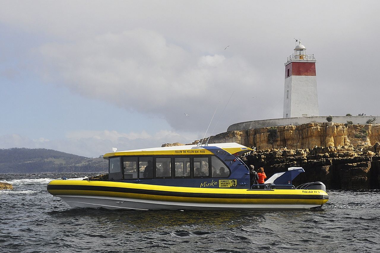 2.5-hour Iron Pot Cruises Lighthouse Tour in Tasmania