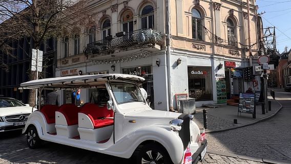 Tiflis: Elektrobus- und Bootstour