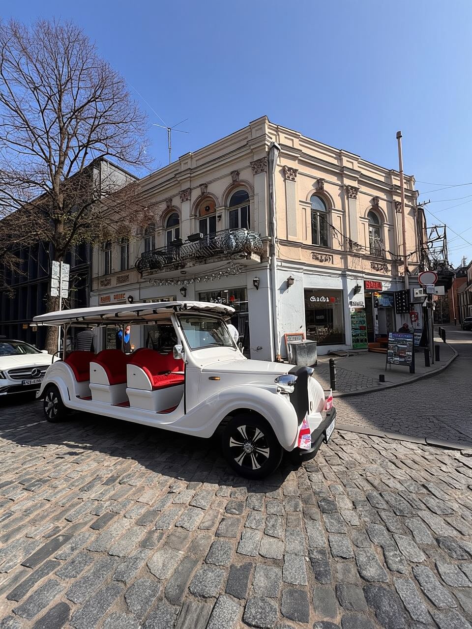 Tbilisi: Electric Bus and Boat Tour