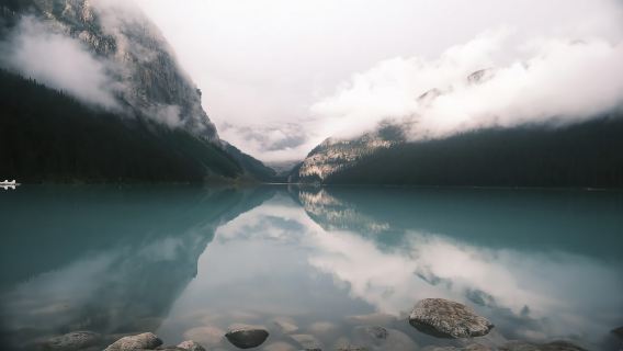 Calgary:Moraine Lake Sunrise & Lake Louise & Wildlife Safari